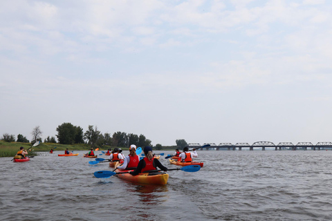 Montreal: Kayak Excursion in the Hochelaga Archipelago Montreal: Kayak Day Trip in the Hochelaga Archipelago