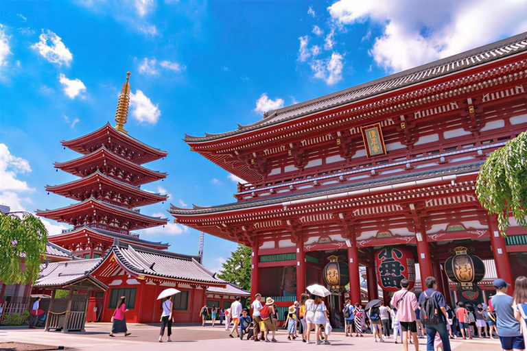 Tokyo: Private Luxury Day Tour with Hotel Pickup and DropOff
