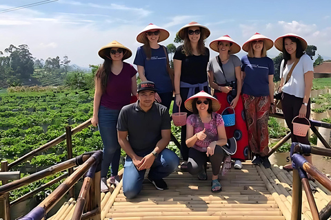 Bandung: cratere vulcanico, sorgenti termali, bagni di fango e tè