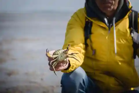 Sylt: Geführte Wattwanderung auf der Insel