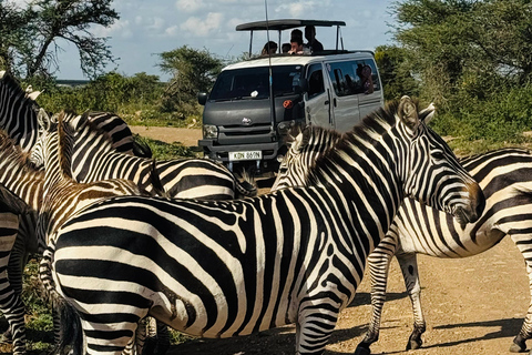 Nairobi: safari privato nel Masai Mara con pranzo e trasferimentoNairobi: safari privato nella riserva di Maasai Mara con pranzo e trasporto