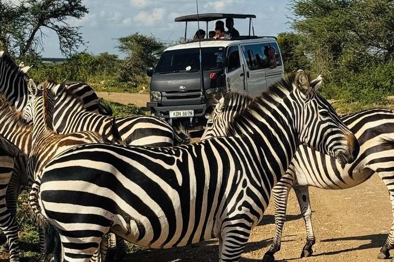 Nairobi: Privat safari i Maasai Mara med lunch och hämtning