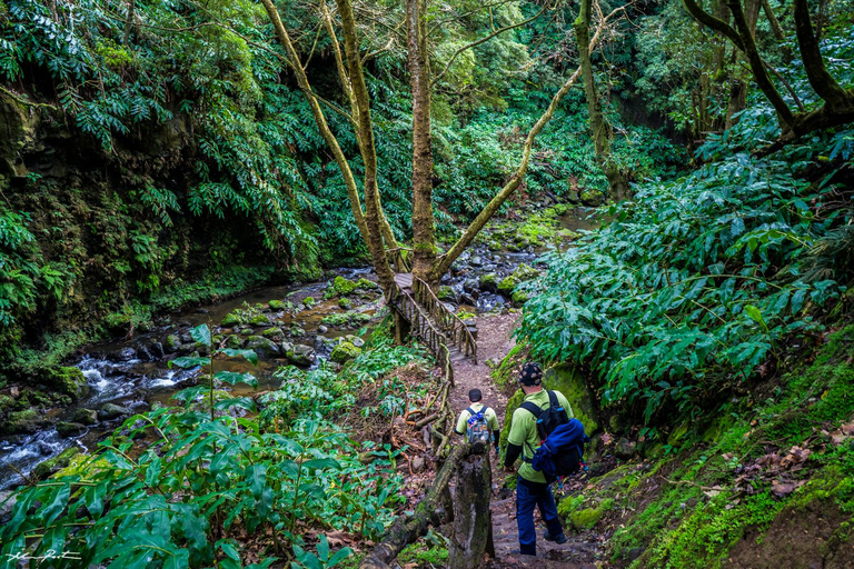 De Ponta Delgada: Caminhada no Moinho do Félix