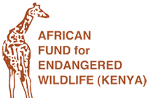 Nairobi: Giraffe Center, Museum of Illusions & Blixen Tour