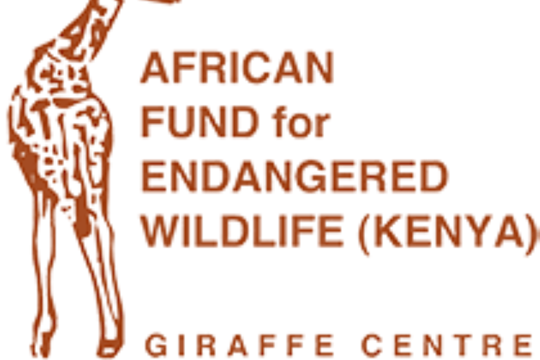 Nairobi: Giraffe Center, Museum of Illusions & Blixen Tour