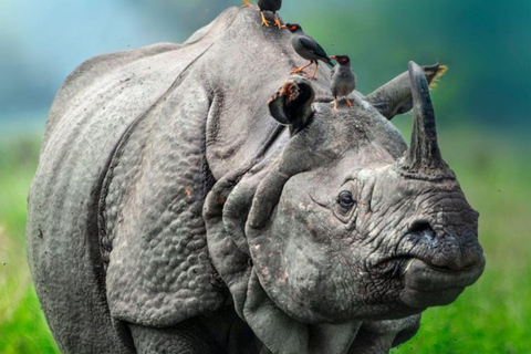 Kathmandu: 9-Day Nepal Golden Route Tour with Guide