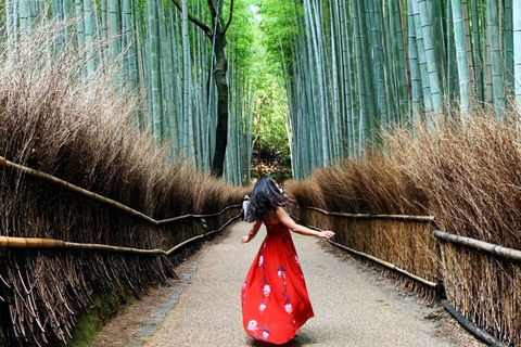 Kyoto: Private Customizable Tour with Driver and Guide