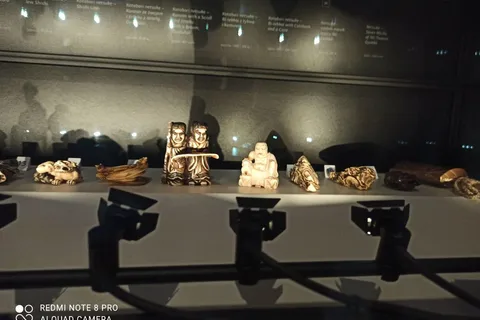 Czartoryski-museo Opastettu kierros italiaksi