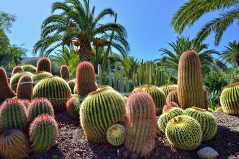 Lanzarote North Premium: Cueva Verdes, Jameos Agua, Mirador, and Cactus Garden German North Premium: Cueva Verdes, Jameos Agua, Mirador, and Jardin Cactus
