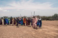 5 días de encuentro de vida silvestre y safari cultural - Housity