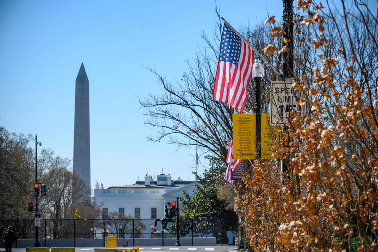 Dagsutflykt Washington DC &amp; Mount Vernon