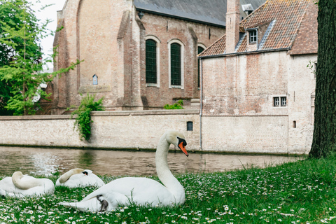 De Bruxelas: Excursão de um dia a Ghent e BrugesTour em inglês