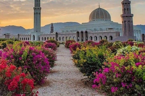 Muscat: Ganztagestour durch die Stadtführung mit Abholung vom Hotel und Rücktransfer zum HotelMuscat: Stadtführung mit Abholung vom Hotel und Rücktransfer zum Hotel