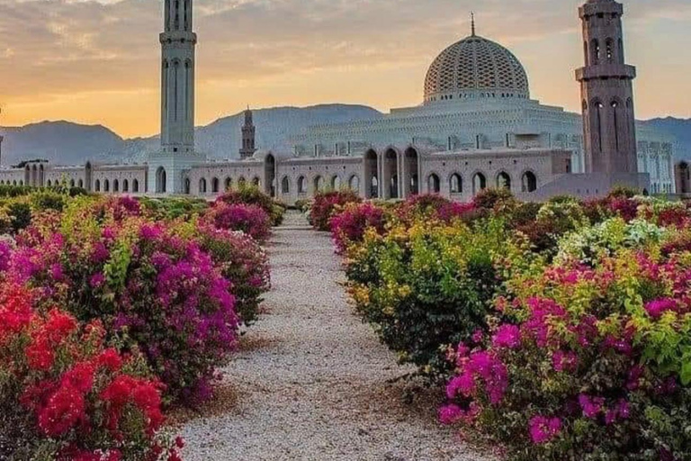 Muscat: Ganztagestour durch die Stadtführung mit Abholung vom Hotel und Rücktransfer zum HotelMuscat: Stadtführung mit Abholung vom Hotel und Rücktransfer zum Hotel