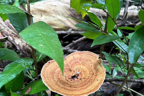 Parque Nacional de Cat Tien Tour particular de 2 dias com guia de turismoNão inclui alimentação e hotel