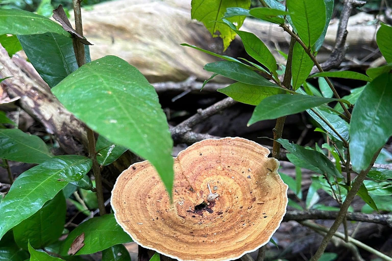 Parque Nacional de Cat Tien Tour particular de 2 dias com guia de turismoNão inclui alimentação e hotel