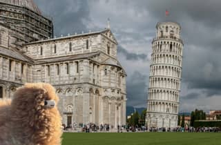 Private Halbtagestour nach Pisa ab Florenz