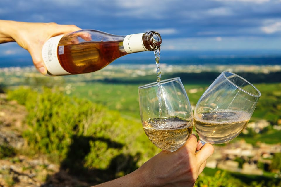 From SF: Alcatraz Day Tour, Muir Woods Visit & Wine Tasting image 3