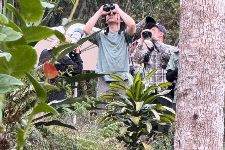 Hike through the cloud forest of Quito Hike through the cloud forest in Quito