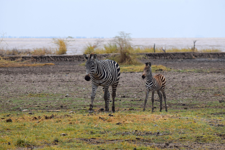 Viaggio di due giorni al Lago Manyara con canoa e passerella tra le cime degli alberiCampeggio a Karatu