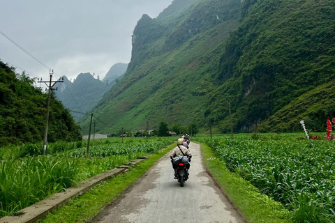 From Hanoi by Limousine: Ha Giang Loop 3N3D with Easy Riders
