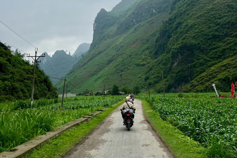 From Hanoi by Limousine: Ha Giang Loop 3N3D with Easy Riders