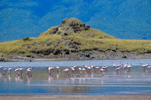 Arusha: Lake Natron Day Trip (Lake Walk &amp; Waterfall Hike)