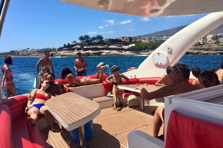 Tenerife: Opera 60 Whale & Dolphin Cruise with Lunch