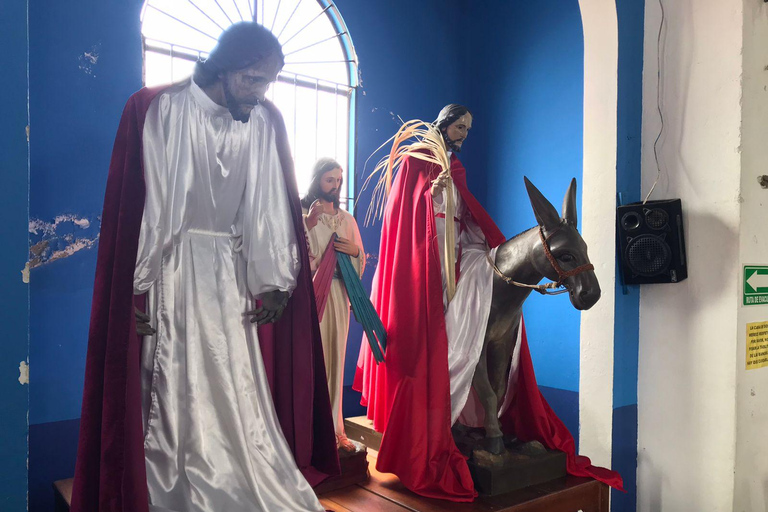 Huatulco: Pluma Hidalgo Coffee Origin and Essence.