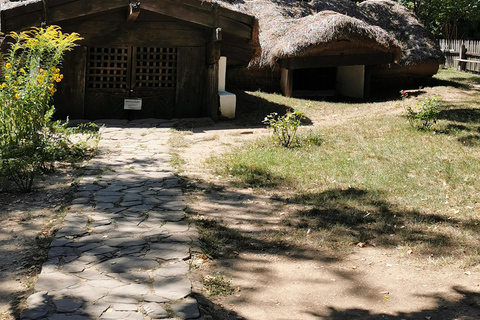 Tour guidato del Museo del Villaggio di Bucarest