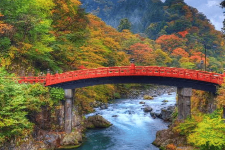 From Tokyo: Nikko World Heritage Full Day Private Tour