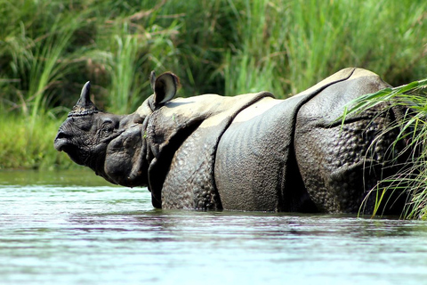 Nepal Tour: Kathmandu, Pokhara & Chitwan Park