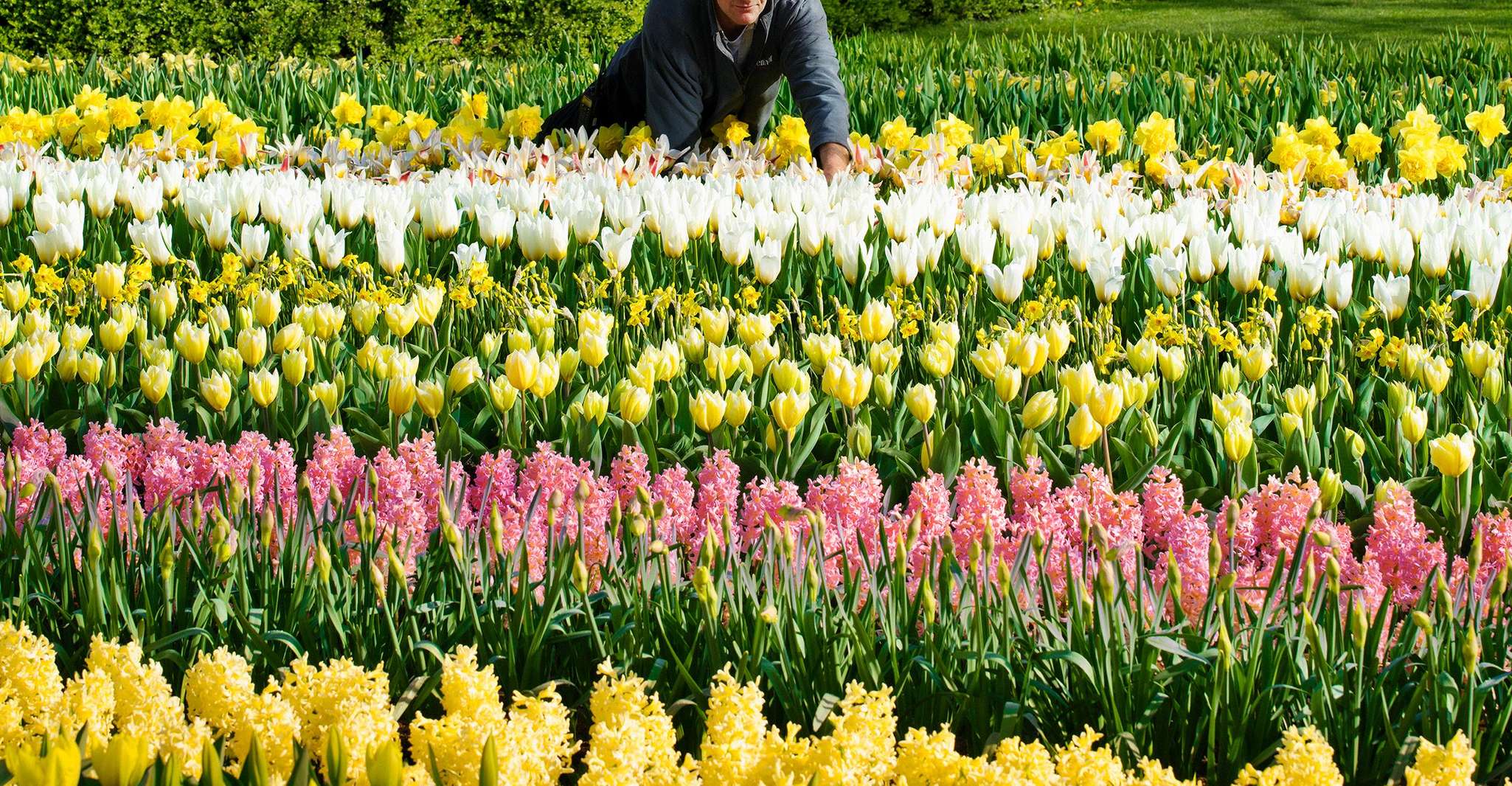 Amsterdam: Keukenhof Entry & Shuttlebus with Flexible Return photo 10