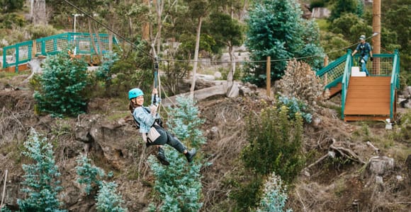 Maui: Haleakala 6-Line Zipline Adventure