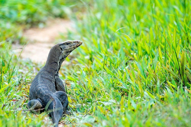 From Ho Chi Minh City: 2-Day Cat Tien National Park Tour