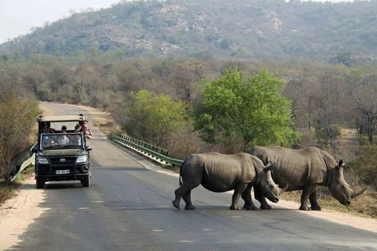 Durban: Tala Game Reserve, Phezulu Park en markttour