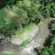 Bali : Ayung River White Water Rafting With Lunch | GetYourGuide