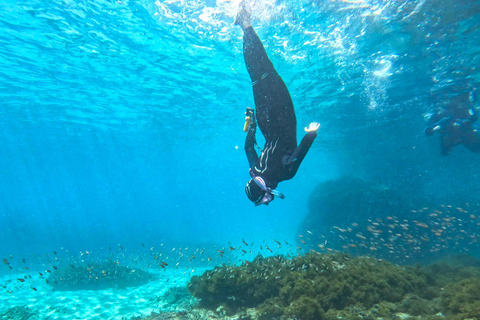 Nerja-Maro: Snorkeling & Sea Scooter Nerja: Maro-Cerro Gordo Boat Tour w Snorkeling & Sea Scooter