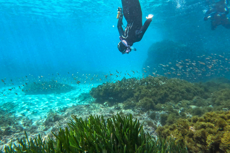 Nerja-Maro: Snorkeling & Sea Scooter Nerja: Maro-Cerro Gordo Boat Tour w Snorkeling & Sea Scooter