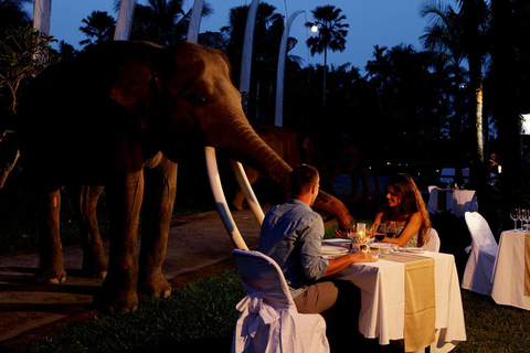 Bali Tour: Dinner with the Wildlife in the Zoo