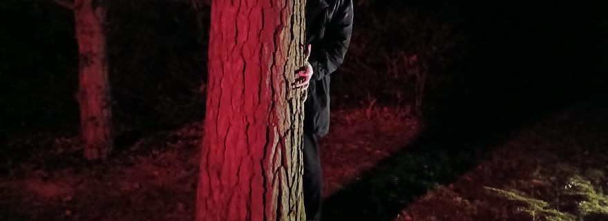 Francfort : théâtre d'horreur avec visite guidée « La résurrection de Nosferatu »