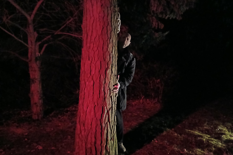 Francfort : théâtre d'horreur avec visite guidée « La résurrection de Nosferatu »