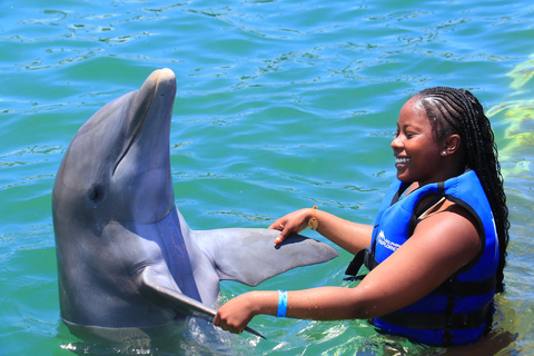 Aventure de nage avec les dauphins à Punta Cana : 40 minutes d&#039;expérience avec les dauphins