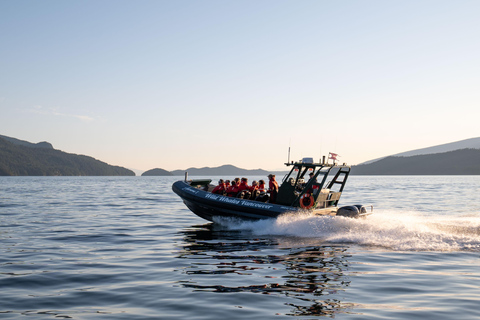 Vancouver: Excursión en zodiac para avistar ballenas desde Granville IslandVancouver: excursión en zodiac para avistar ballenas desde Granville Island
