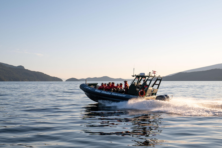 Vancouver: Excursión en zodiac para avistar ballenas desde Granville IslandVancouver: excursión en zodiac para avistar ballenas desde Granville Island