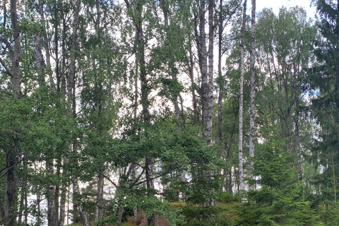Oslo: Guided Kayak Tour on Lake Langen with Lunch