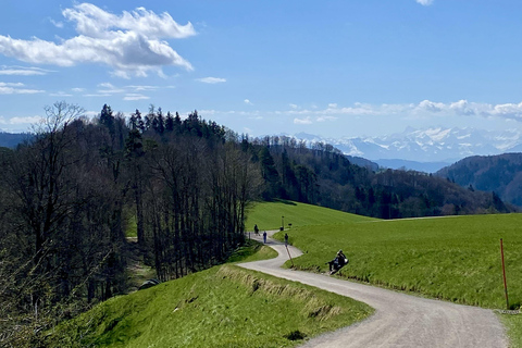 Zurich: Accompanied hike to Uetliberg
