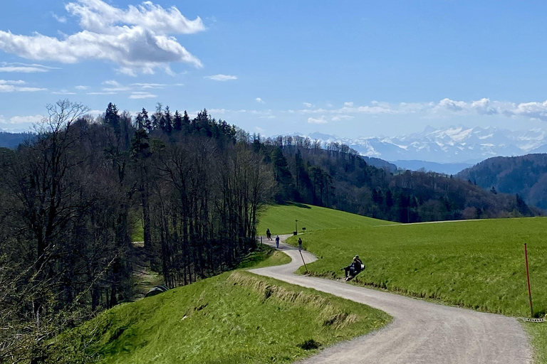 Zurich: Accompanied hike to Uetliberg