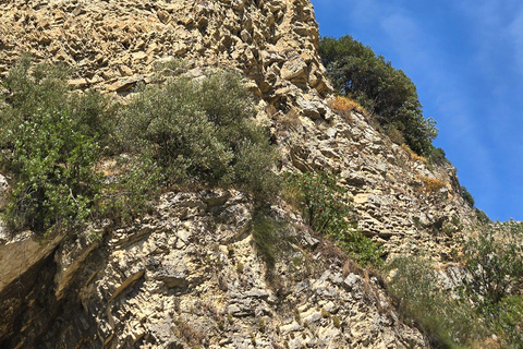 地拉那：贝拉特私人一日旅行（含持证导游）Tirana: Berat Private Day Trip with Certified Guide