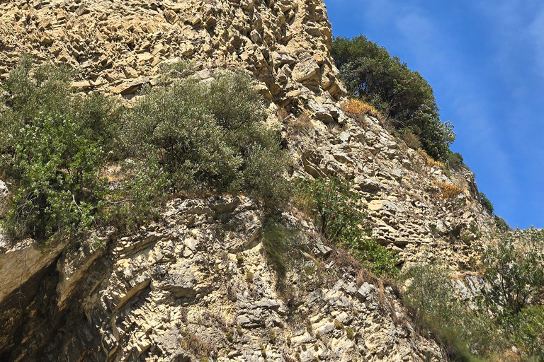 地拉那：贝拉特私人一日旅行（含持证导游）Tirana: Berat Private Day Trip with Certified Guide